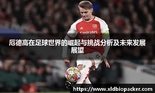 db电竞官网入口